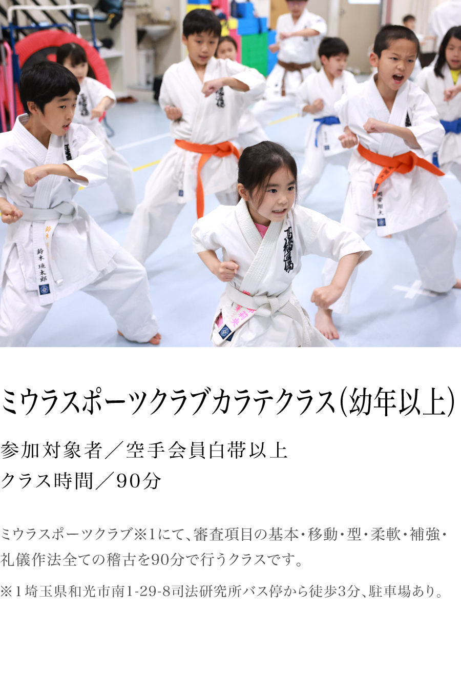 ミウラスポーツクラブカラテクラス（幼年以上）